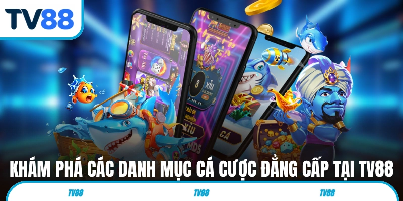 Khám phá các danh mục cá cược đẳng cấp tại TV88 